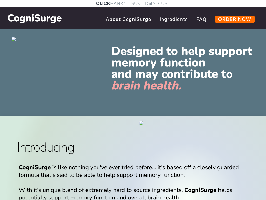 CogniSurge Review