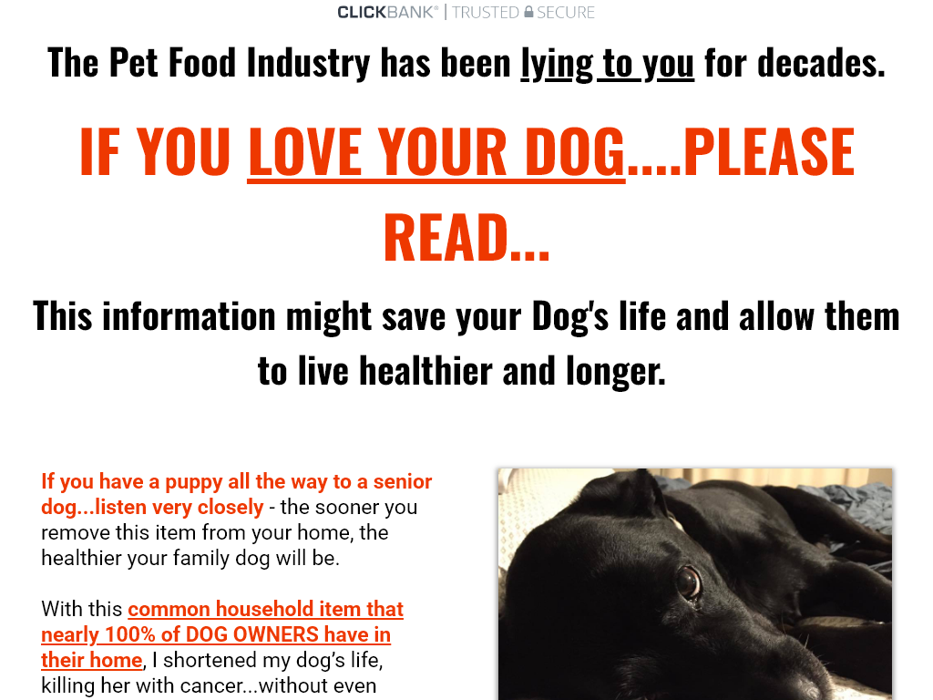 Top Dog Food Product Review
